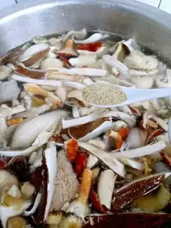 Make Wild fungus soup step 10
