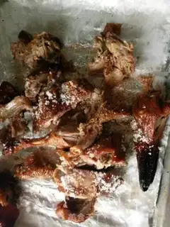 Make Back to the box step 1
