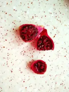 Make Cactus juice step 2