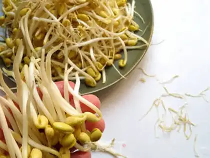 Make A soybean sprouts fan step 2