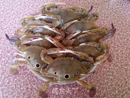 Make Crabs step 0