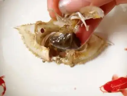 Make Crabs step 4