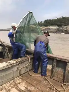 Make Home burning shrimp step 1