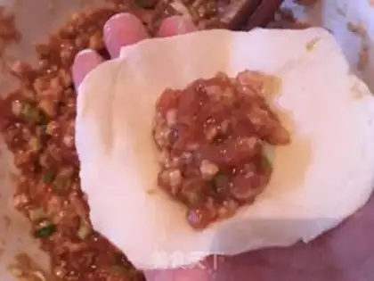 Make Pork dumplings step 7