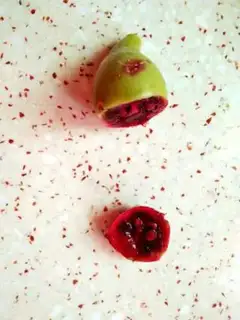 Make Cactus Jell-O step 0