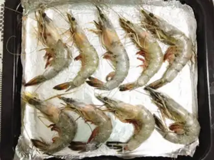 Make Salted shrimp step 1