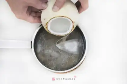Make Coconut fire, duck stew step 4