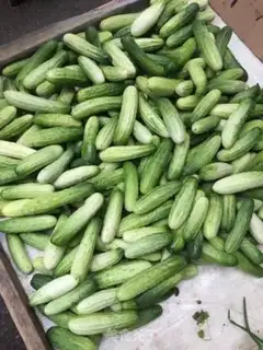 Make cucumber step 0