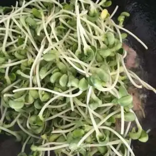 Make Sour sprouts step 6