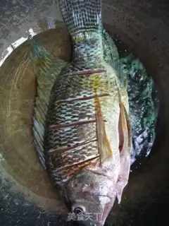 Make Red fish step 1