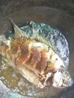 Make Red fish step 2