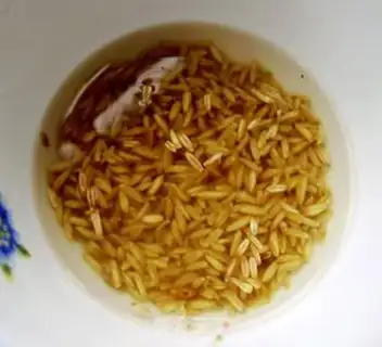 Make step 2