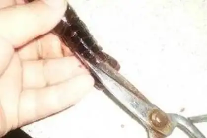 Make step 8