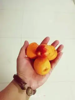 Make Almond love step 0