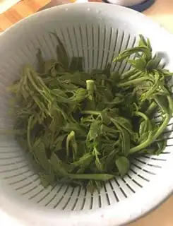 Make Eggs from the fragrance stand step 1