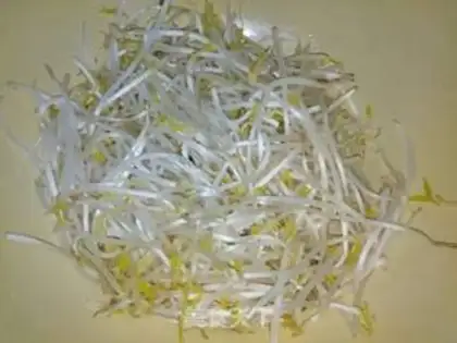 Make Green bean sprouts step 1