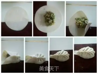 Make Fancy dumplings step 0