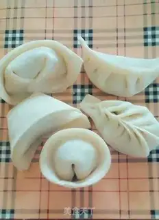 Make Fancy dumplings step 5