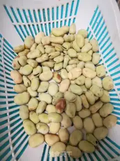 Make Bean pickles step 0