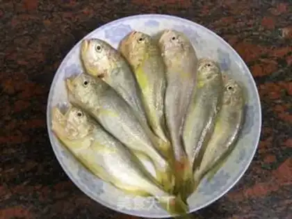 Make Little yellow fish step 0