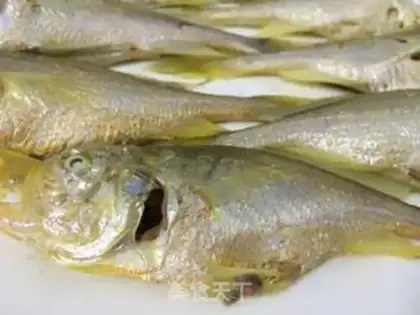 Make Little yellow fish step 8