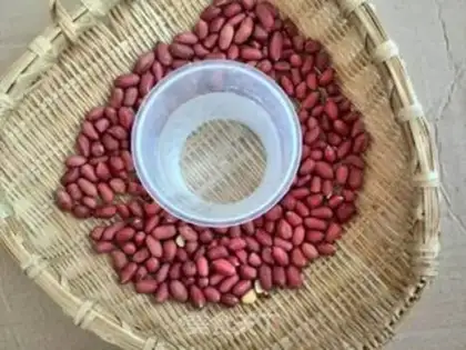 Make Fresh peanut butter step 0