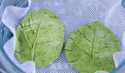 Make Vegetable leaves step 8