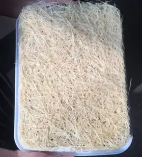 Make Cool bean seed step 1