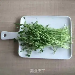 Make Cool bean seed step 2