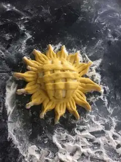 Make Sunflower step 3