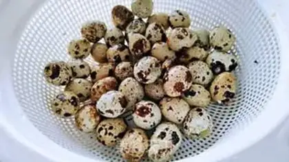 Make Quail eggs step 5