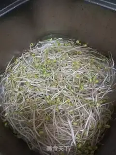 Make Sodium sprouts step 0