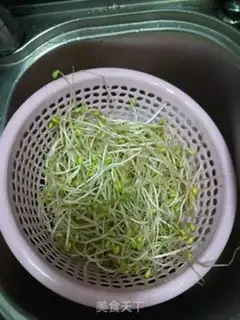Make Sodium sprouts step 1
