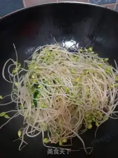 Make Sodium sprouts step 2