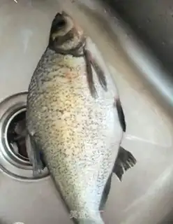 Make Peacock Open step 0