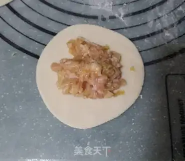 Make Sour pork dumplings step 9
