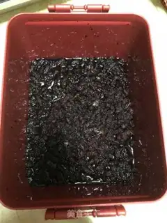 Make Sancho enzymes step 0