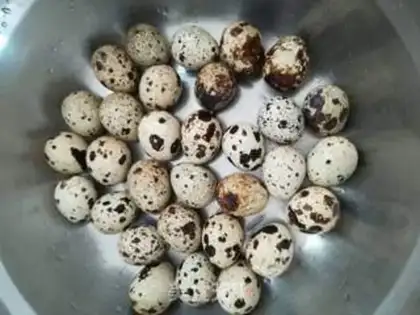 Make Halo eggs step 1