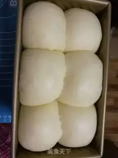 Make Bear squeezes bread step 5