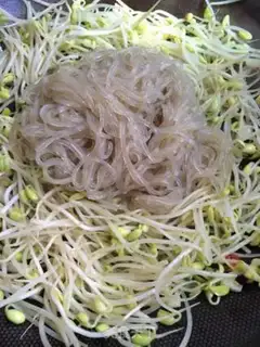 Make Bean sprouts step 3
