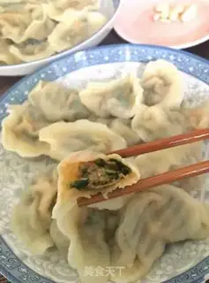 Make Pork dumplings step 8