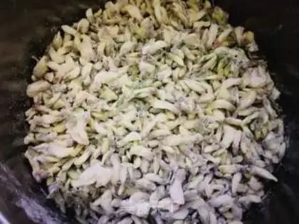 Make Steam flowers step 4