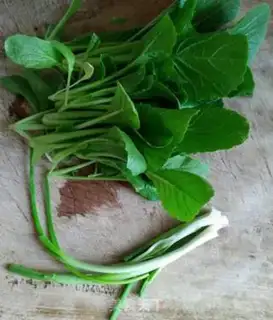 Make Fresh noodles step 0