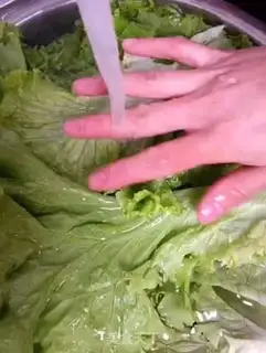 Make Fertilizer step 0