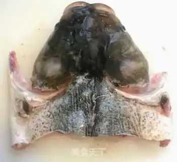 Make Coughfish head tofu step 2