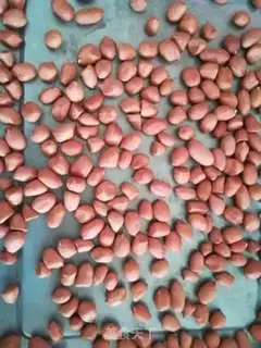 Make Roast peanuts step 0