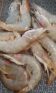 Make Shrimp onions step 0