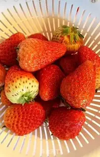 Make Strawberry pudding step 4