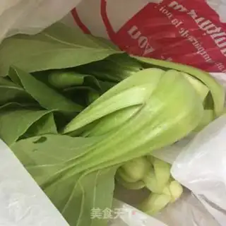 Make Pork is made of sea green step 0