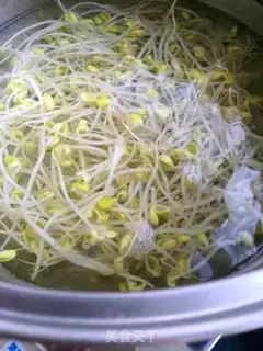 Make Soybean sprouts step 1